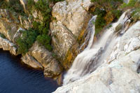 &copy Rudolf P du Toit