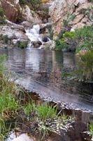 &copy Rudolf P du Toit