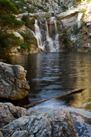 &copy Rudolf P du Toit