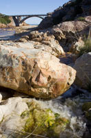 &copy Rudolf P du Toit