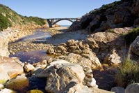 &copy Rudolf P du Toit