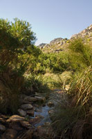 &copy Rudolf P du Toit