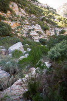 &copy Rudolf P du Toit