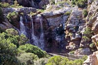 &copy Rudolf P du Toit