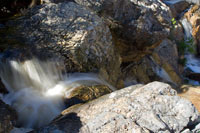 &copy Rudolf P du Toit