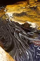 &copy Rudolf P du Toit