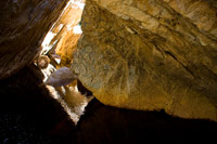 &copy Rudolf P du Toit