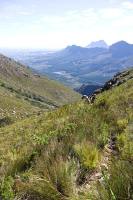 &copy Rudolf P du Toit