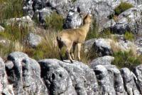 &copy Gareth Harding