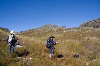 &copy Rudolf P du Toit