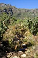 &copy Rudolf P du Toit