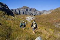 &copy Rudolf P du Toit