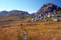 &copy William Sandenbergh