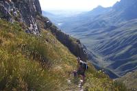 &copy William Sandenbergh