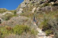 &copy Gareth Harding