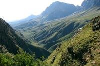 &copy Gareth Harding