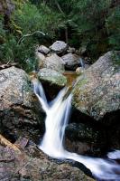 &copy Rudolf P du Toit