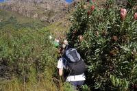 &copy Rudolf P du Toit