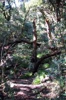 &copy Gareth Harding