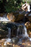 &copy Rudolf P du Toit