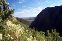 &copy William Sandenbergh