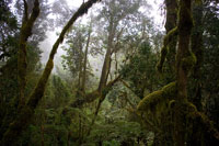 &copy Rudolf P du Toit