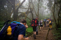 &copy Rudolf P du Toit