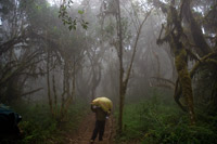 &copy Rudolf P du Toit