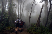 &copy Rudolf P du Toit