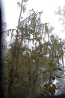 &copy Rudolf P du Toit