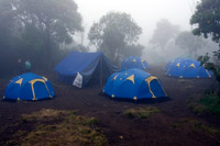 &copy Rudolf P du Toit