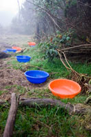 &copy Rudolf P du Toit