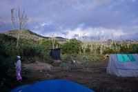 &copy Rudolf P du Toit