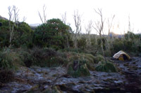 &copy Rudolf P du Toit