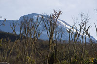 &copy Rudolf P du Toit