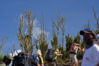 &copy Rudolf P du Toit