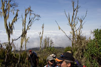 &copy Rudolf P du Toit