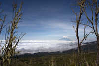 &copy Rudolf P du Toit