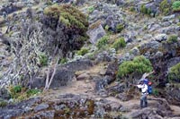 &copy Rudolf P du Toit