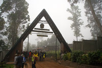 &copy Rudolf P du Toit