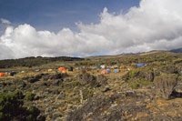 &copy Rudolf P du Toit