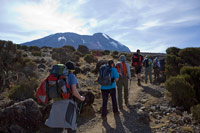 &copy Rudolf P du Toit