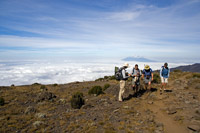 &copy Rudolf P du Toit