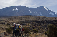 &copy Rudolf P du Toit