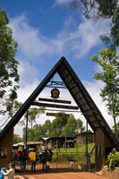 &copy Rudolf P du Toit