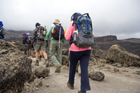 &copy Rudolf P du Toit