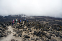 &copy Rudolf P du Toit