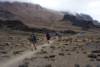 &copy Rudolf P du Toit