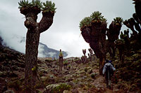 &copy Rudolf P du Toit