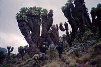 &copy Rudolf P du Toit